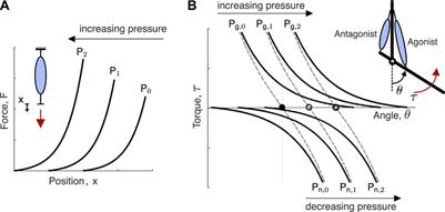 Assisting Forearm Function in Children With Movement Disorders via A Soft Wearable Robot With Equilibrium-Point Control